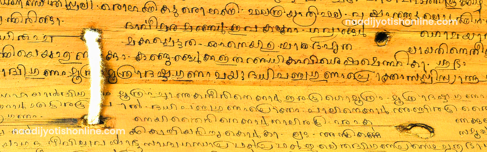 Nadi jyotish online Centre